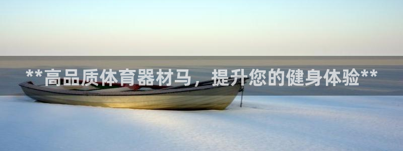 星欧娱乐扣款流程详解图：**高品质体育器材马，提升您