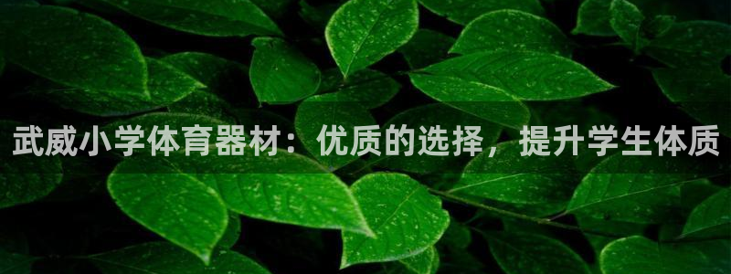 星欧娱乐扣款流程详解：武威小学体育器材：优质的选择，