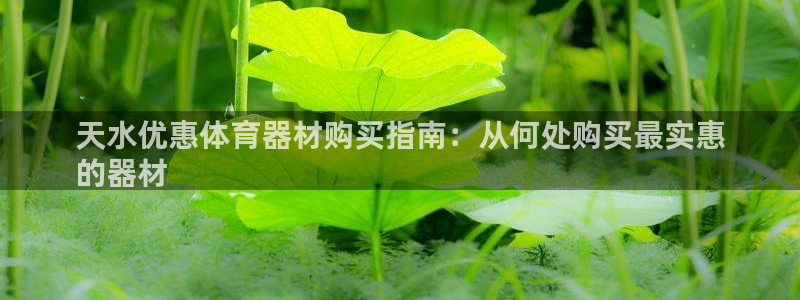 星奥娱乐微博：天水优惠体育器材购买指南：从何处购买最