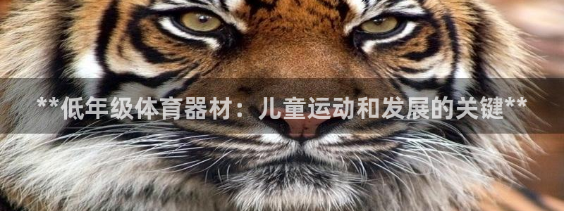 新星娱乐怎么开挂：**低年级体育器材：儿童运动和发展