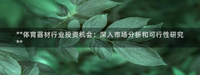 星欧娱乐是正规平台吗知乎推荐：**体育器材行业投资机