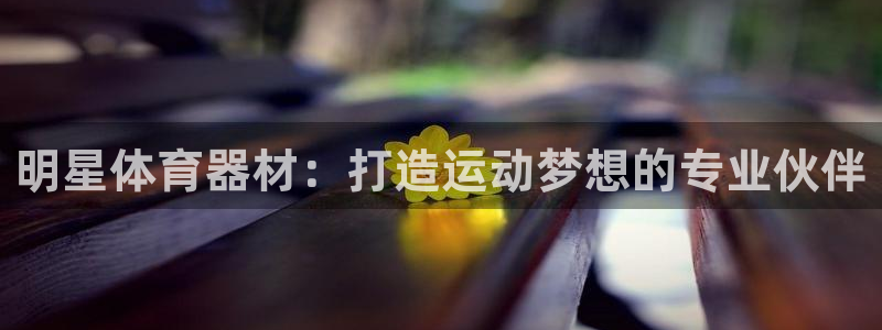 星欧娱乐是什么品牌：明星体育器材：打造运动梦想的专业
