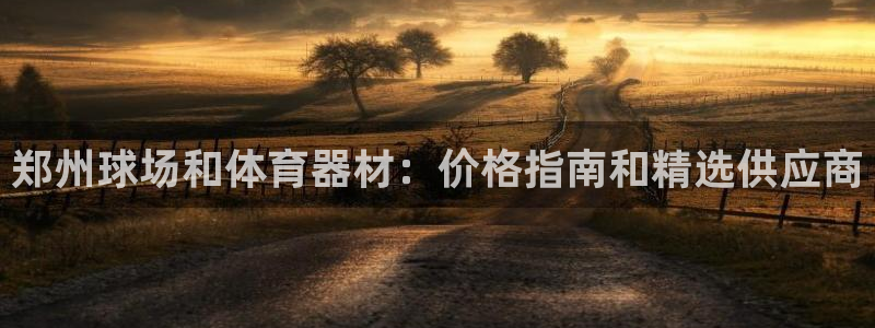 星欧娱乐联最新新闻：郑州球场和体育器材：价格指南和精