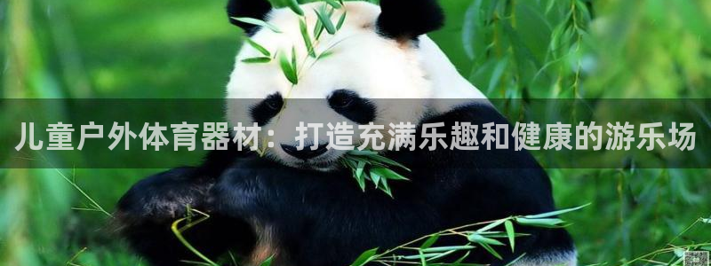 星欧娱乐是正规平台吗安全吗：儿童户外体育器材：打造充
