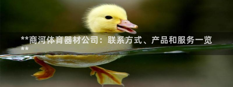 星欧娱乐属于什么档次的网站啊：**商河体育器材公司：