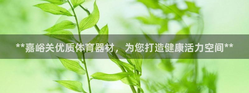 星澳娱乐公司怎么样：**嘉峪关优质体育器材，为您打造