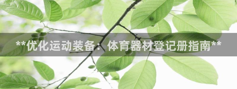 星欧娱乐扣款流程详解视频：**优化运动装备：体育器材
