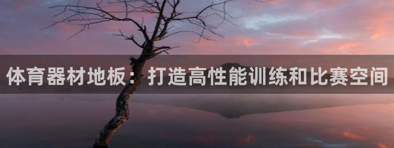 星欧娱乐公司怎么样：体育器材地板：打造高性能训练和比