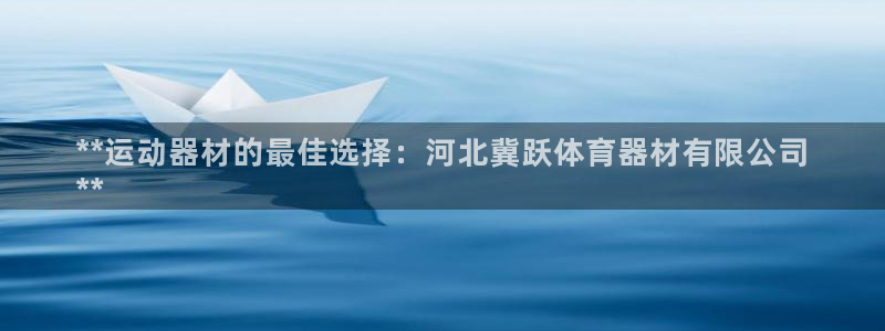 星欧娱乐公司创始人背景故事介绍：**运动器材的最佳选