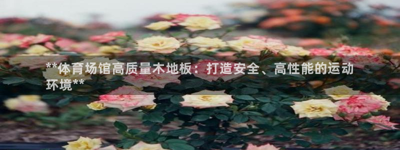 星娱乐文化传媒：**体育场馆高质量木地板：打造安全、