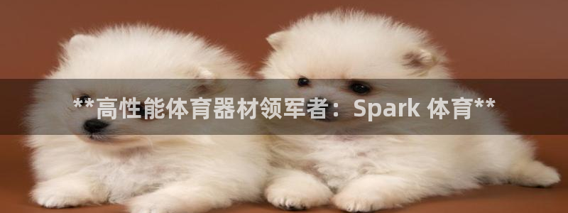 星欧娱乐最建议买的三个产品是什么：**高性能体育器材