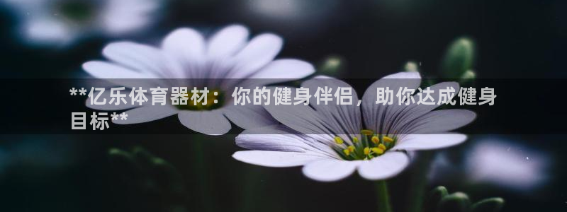 星欧娱乐平台：**亿乐体育器材：你的健身伴侣，助你达