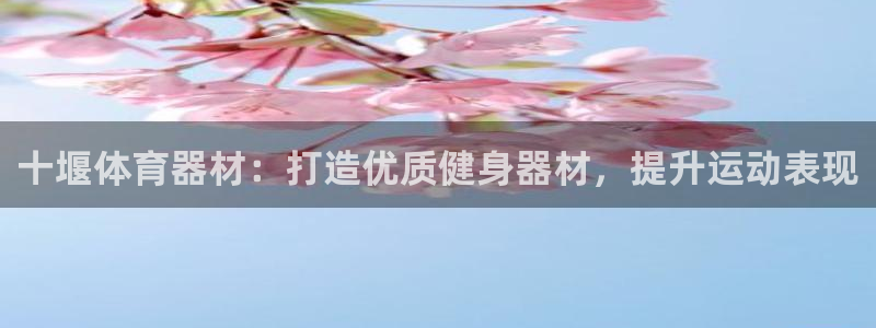 星欧娱乐属于什么档次：十堰体育器材：打造优质健身器材