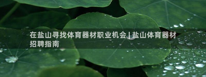 星娱乐online创作的原声这个歌曲叫什么名字：在盐