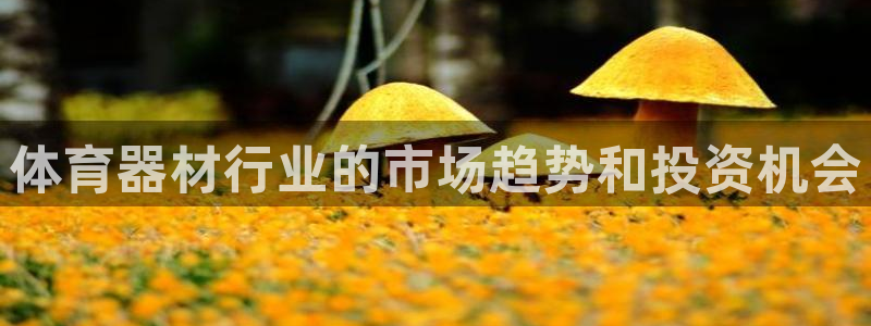 星奥盛典娱乐会所：体育器材行业的市场趋势和投资机会