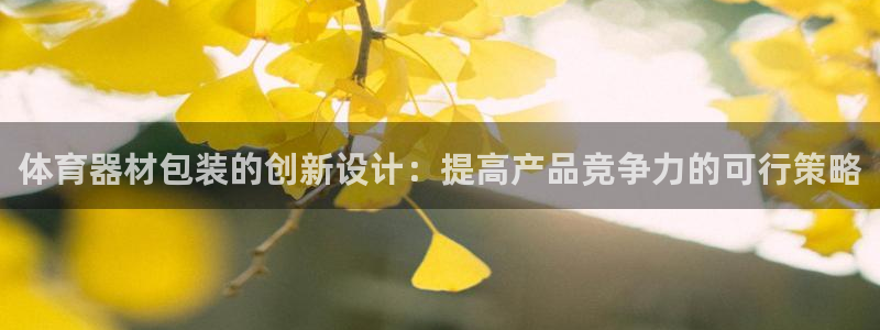 星欧娱乐扣钱步骤详解：体育器材包装的创新设计：提高产