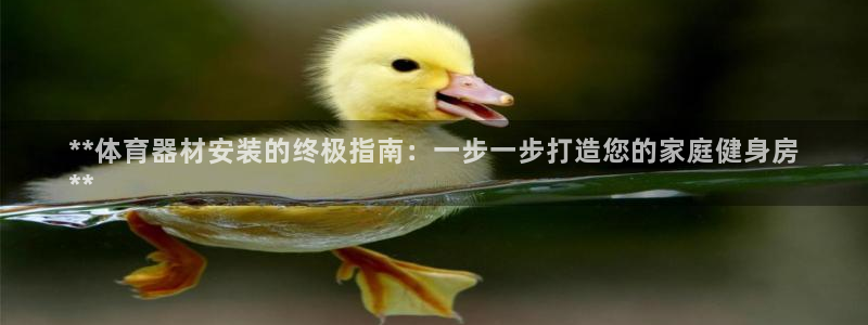 星欧娱乐挂机教程视频：**体育器材安装的终极指南：一