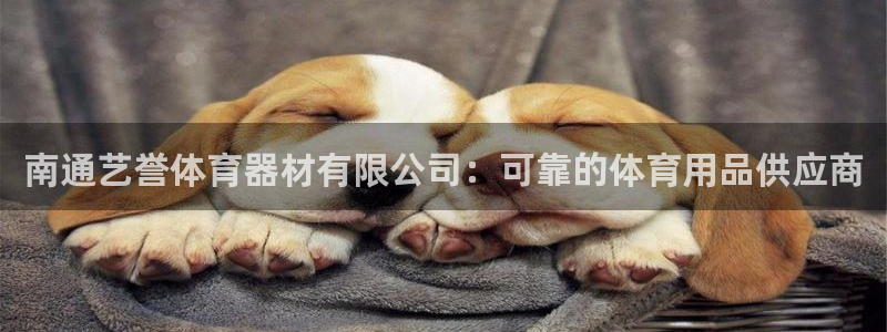 星欧娱乐扣款时间查询方法：南通艺誉体育器材有限公司：