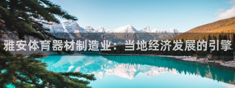 星欧娱乐会员优惠活动：雅安体育器材制造业：当地经济发