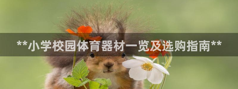 星欧娱乐公司简介：**小学校园体育器材一览及选购指南