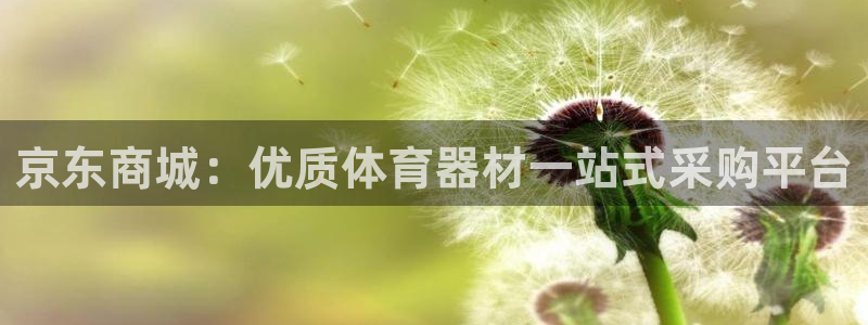 星欧娱乐平台怎么样：京东商城：优质体育器材一站式采购