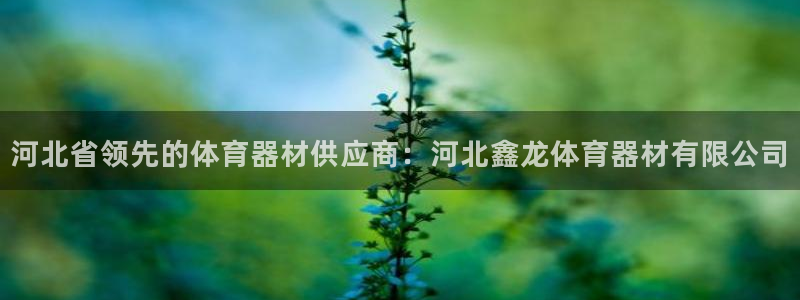 星欧娱乐法711.112扣费如何处理：河北省领先的体