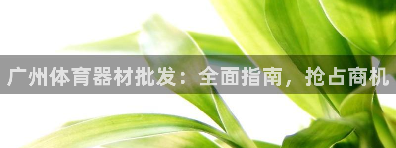 星欧娱乐最建议买的三个游戏账号：广州体育器材批发：全