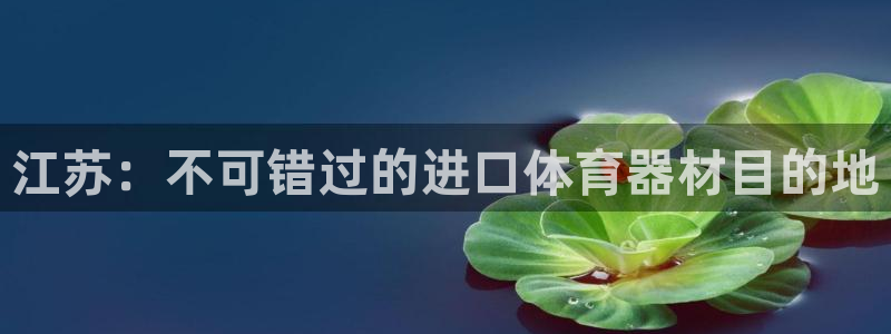 星欧娱乐伐711.112扣费的原因及处理措施：江苏：