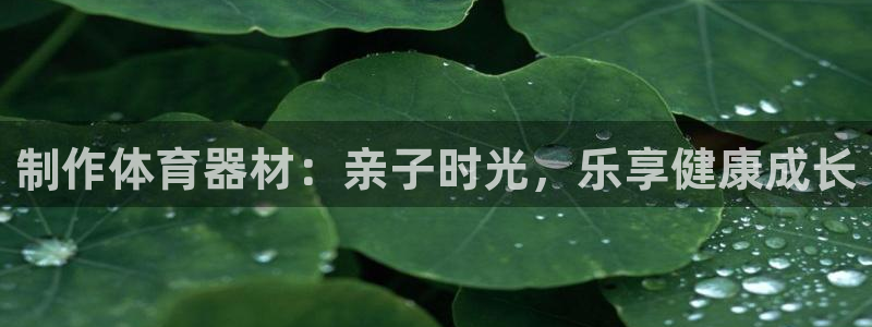 星欧娱乐公司创始人背景故事：制作体育器材：亲子时光，
