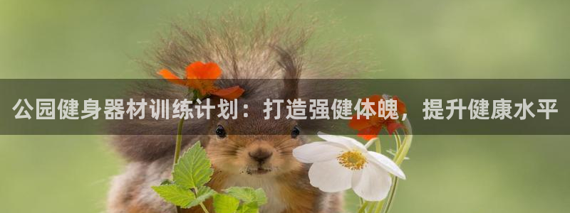 星欧娱乐平台测速线路怎么设置：公园健身器材训练计划：