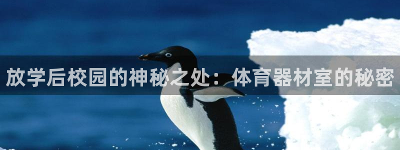 星欧娱乐平台怎么样啊可靠吗：放学后校园的神秘之处：体
