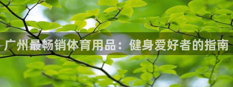 星欧娱乐扣款时间查询方法：广州最畅销体育用品：健身爱