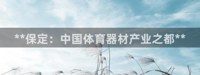星欧娱乐总代.直开.中国：**保定：中国体育器材产业