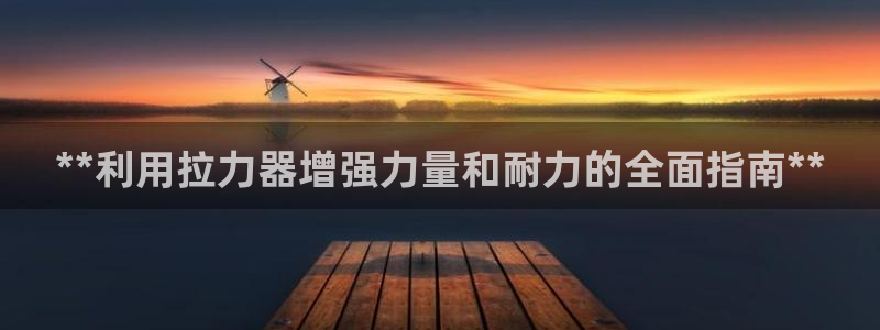 永韬星娱乐：**利用拉力器增强力量和耐力的全面指南*