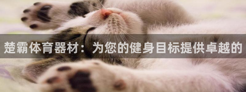 星欧娱乐平台：楚霸体育器材：为您的健身目标提供卓越的