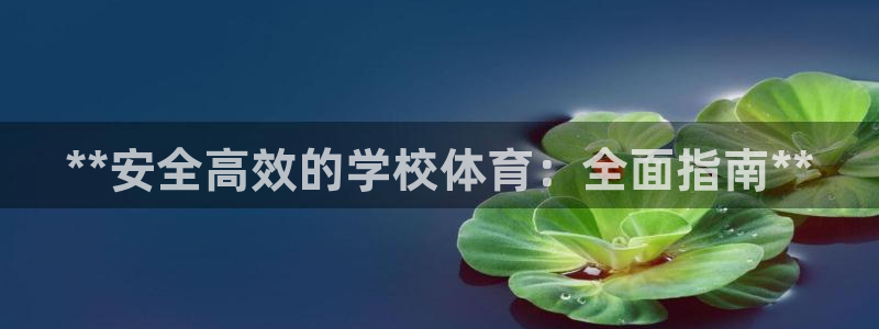 星欧娱乐总代.直开.中国：**安全高效的学校体育：全
