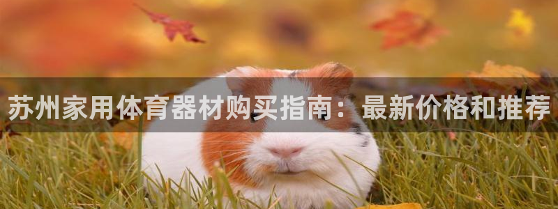 星欧娱乐的创始人背景故事：苏州家用体育器材购买指南：