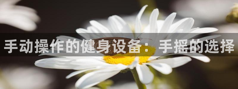星欧娱乐官网下载：手动操作的健身设备：手摇的选择