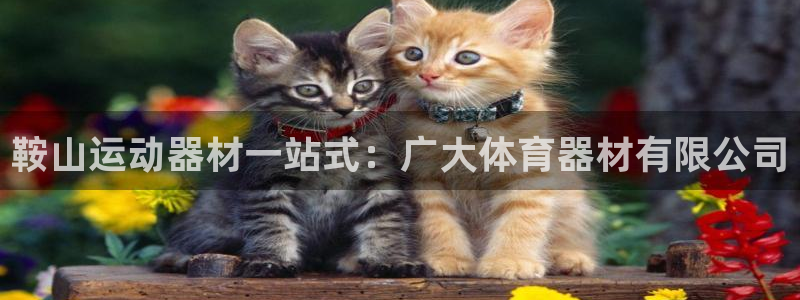 星欧娱乐平台怎么样知乎推荐：鞍山运动器材一站式：广大