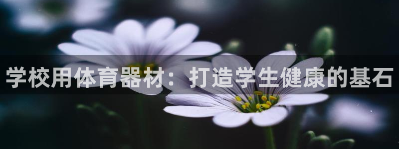 星欧娱乐官方客服联系方式：学校用体育器材：打造学生健