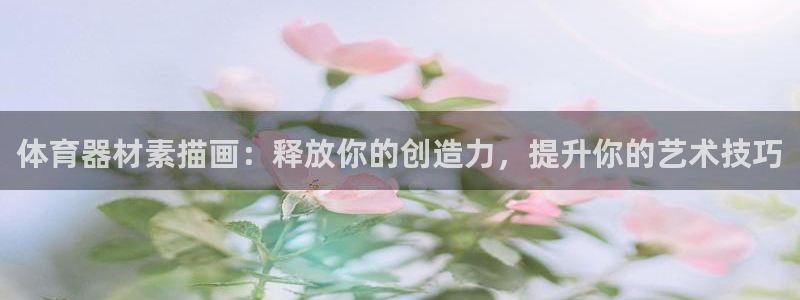 星欧娱乐是正规平台吗安全吗可靠吗：体育器材素描画：释