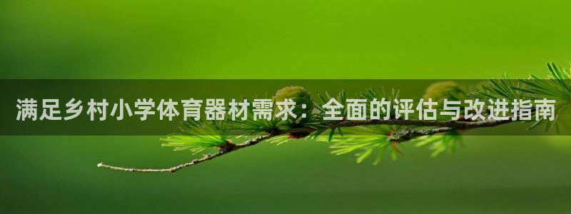 星欧娱乐公司简介：满足乡村小学体育器材需求：全面的评