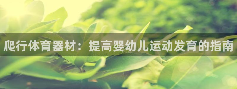 星奥娱乐集团股份有限公司官网：爬行体育器材：提高婴幼