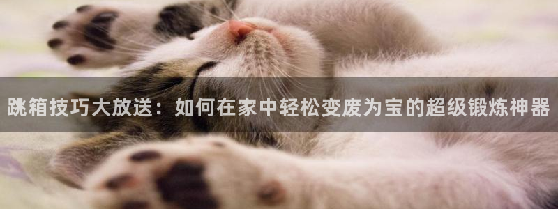 星欧娱乐官网
