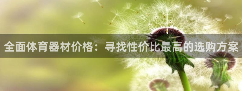 星游娱乐下载地址
