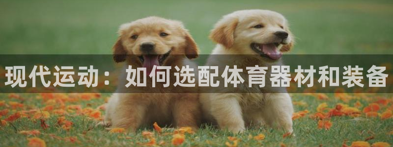 星欧娱乐彩票软件下载