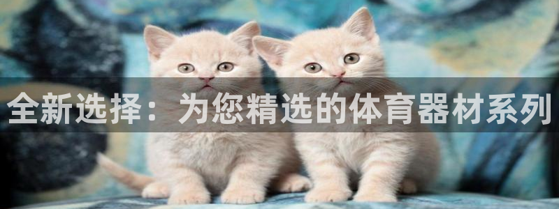 星欧娱乐是什么品牌