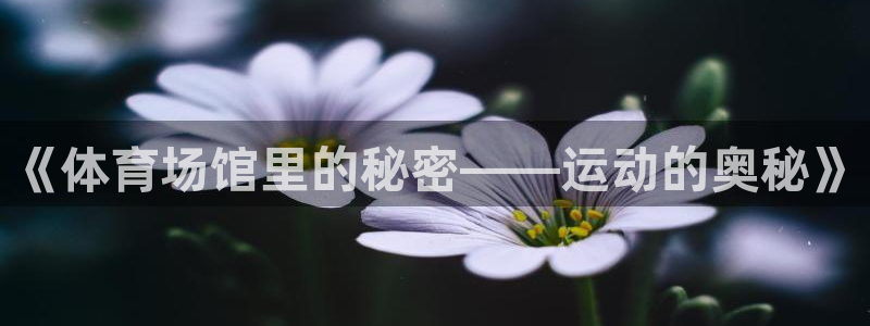 星欧娱乐退款电话人工服务