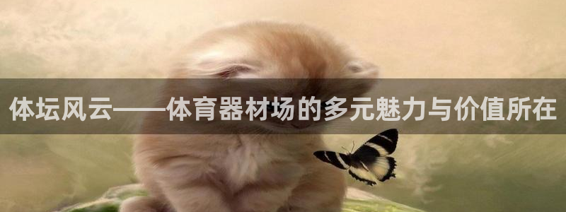澳星国际娱乐集团