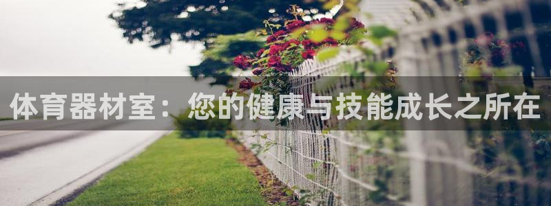 星欧娱乐工711.112怎么没有了